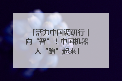 活力中国调研行｜向“智”！中国机器人“跑”起来