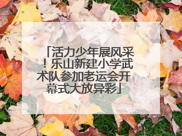 活力少年展风采！乐山新建小学武术队参加老运会开幕式大放异彩
