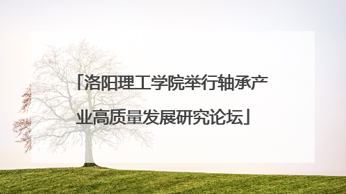 洛阳理工学院举行轴承产业高质量发展研究论坛