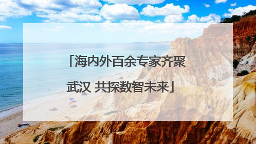 海内外百余专家齐聚武汉 共探数智未来