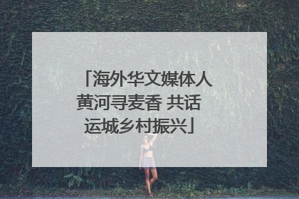 海外华文媒体人黄河寻麦香 共话运城乡村振兴