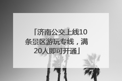 济南公交上线10条景区游玩专线，满20人即可开通