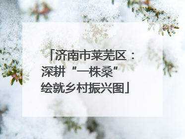 济南市莱芜区：深耕“一株桑” 绘就乡村振兴图