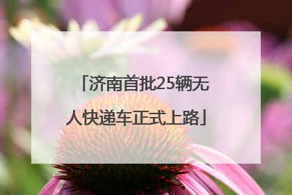 济南首批25辆无人快递车正式上路
