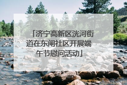 济宁高新区洸河街道在东闸社区开展端午节慰问活动
