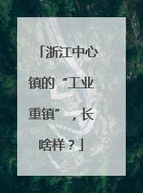 浙江中心镇的“工业重镇”，长啥样？