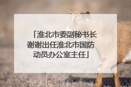 淮北市委副秘书长谢谢出任淮北市国防动员办公室主任