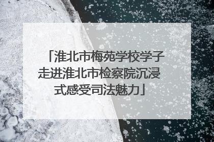 淮北市梅苑学校学子走进淮北市检察院沉浸式感受司法魅力