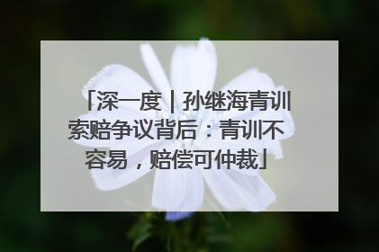深一度｜孙继海青训索赔争议背后：青训不容易，赔偿可仲裁