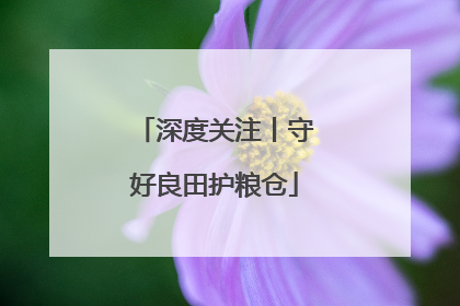 深度关注丨守好良田护粮仓