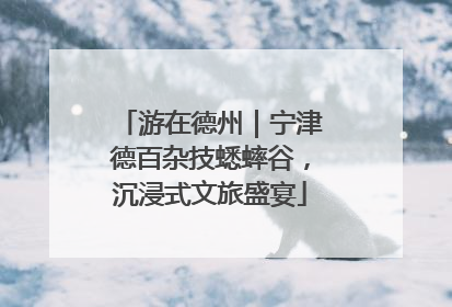 游在德州｜宁津德百杂技蟋蟀谷，沉浸式文旅盛宴