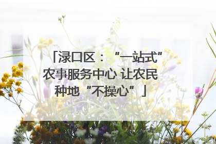渌口区：“一站式”农事服务中心 让农民种地“不操心”