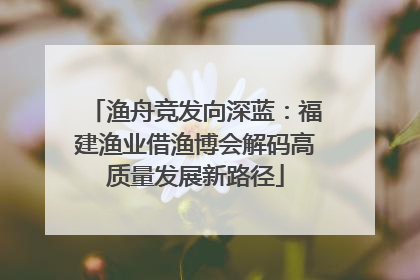 渔舟竞发向深蓝：福建渔业借渔博会解码高质量发展新路径