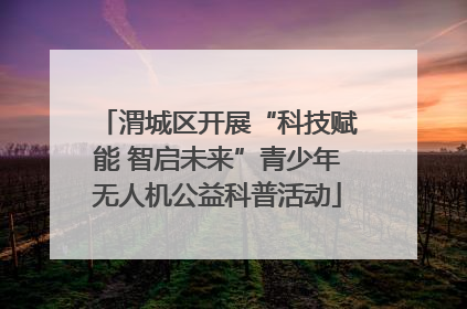 渭城区开展“科技赋能 智启未来”青少年无人机公益科普活动