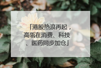 港股热浪再起，高瓴在消费、科技、医药同步加仓