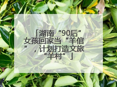 湖南“90后”女孩回家当“羊倌”，计划打造文旅“羊村”