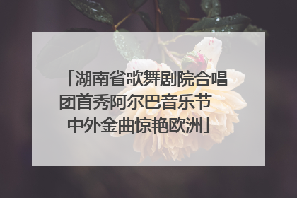 湖南省歌舞剧院合唱团首秀阿尔巴音乐节 中外金曲惊艳欧洲
