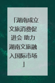 湖南成立文旅消费促进会 助力湖南文旅融入国际市场