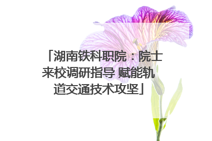 湖南铁科职院：院士来校调研指导 赋能轨道交通技术攻坚