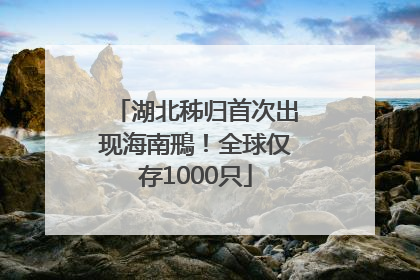 湖北秭归首次出现海南鳽！全球仅存1000只