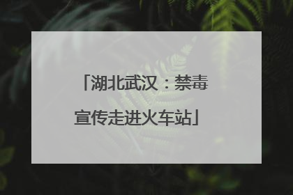 湖北武汉：禁毒宣传走进火车站
