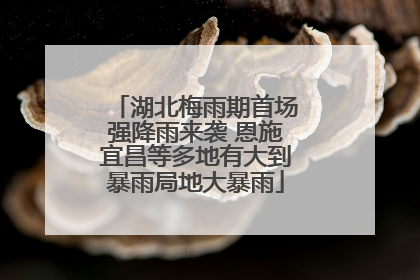 湖北梅雨期首场强降雨来袭 恩施宜昌等多地有大到暴雨局地大暴雨