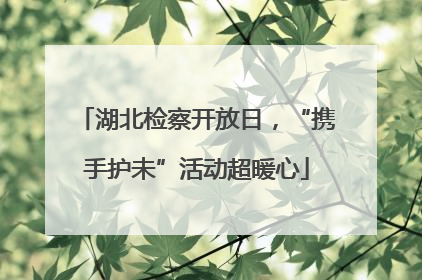 湖北检察开放日，“携手护未”活动超暖心