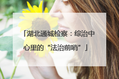 湖北通城检察：综治中心里的“法治前哨”