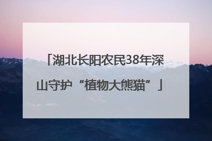 湖北长阳农民38年深山守护“植物大熊猫”