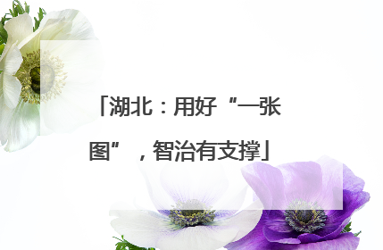 湖北：用好“一张图”，智治有支撑