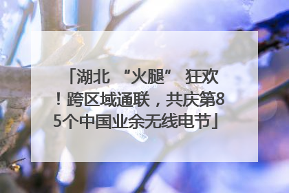 湖北 “火腿” 狂欢！跨区域通联，共庆第85个中国业余无线电节