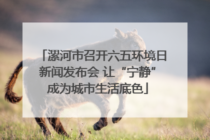 漯河市召开六五环境日新闻发布会 让“宁静”成为城市生活底色