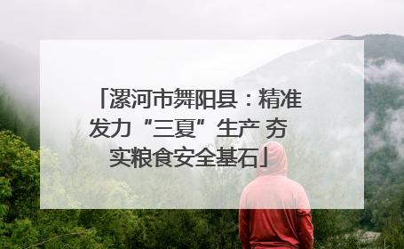 漯河市舞阳县：精准发力“三夏”生产 夯实粮食安全基石