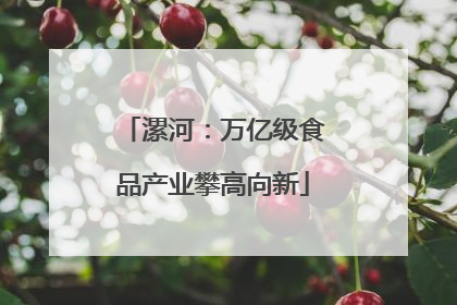漯河：万亿级食品产业攀高向新