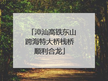 漳汕高铁东山跨海特大桥栈桥顺利合龙