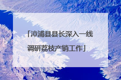 漳浦县县长深入一线调研荔枝产销工作