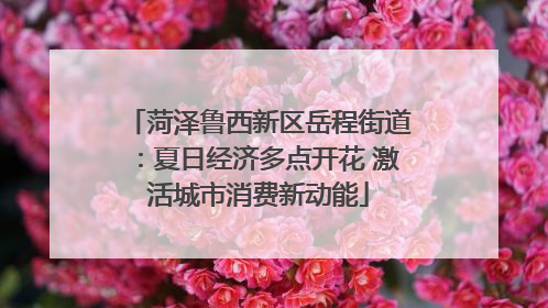 菏泽鲁西新区岳程街道：夏日经济多点开花 激活城市消费新动能