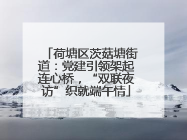 荷塘区茨菇塘街道：党建引领架起连心桥，“双联夜访”织就端午情