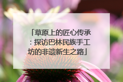 草原上的匠心传承：探访巴林民族手工坊的非遗新生之路