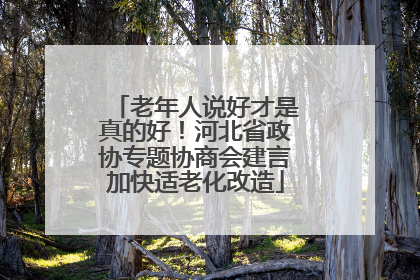 老年人说好才是真的好！河北省政协专题协商会建言加快适老化改造