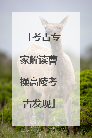 考古专家解读曹操高陵考古发现