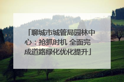 聊城市城管局园林中心：抢抓时机 全面完成道路绿化优化提升