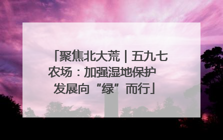 聚焦北大荒｜五九七农场：加强湿地保护 发展向“绿”而行