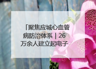 聚焦应城心血管病防治体系｜26万余人建立起电子健康档案