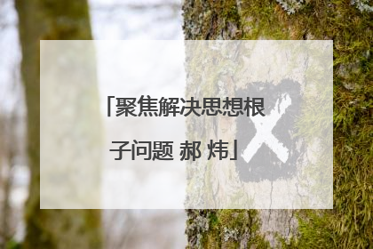 聚焦解决思想根子问题 郝 炜