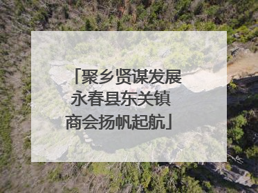 聚乡贤谋发展 永春县东关镇商会扬帆起航