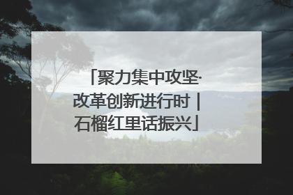 聚力集中攻坚·改革创新进行时｜石榴红里话振兴