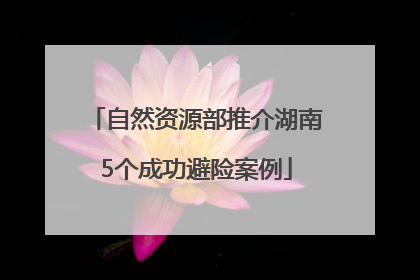 自然资源部推介湖南5个成功避险案例