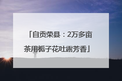 自贡荣县：2万多亩茶用栀子花吐露芳香