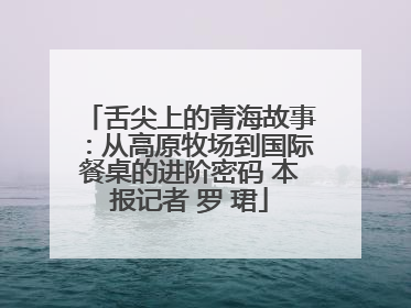 舌尖上的青海故事：从高原牧场到国际餐桌的进阶密码 本报记者 罗 珺